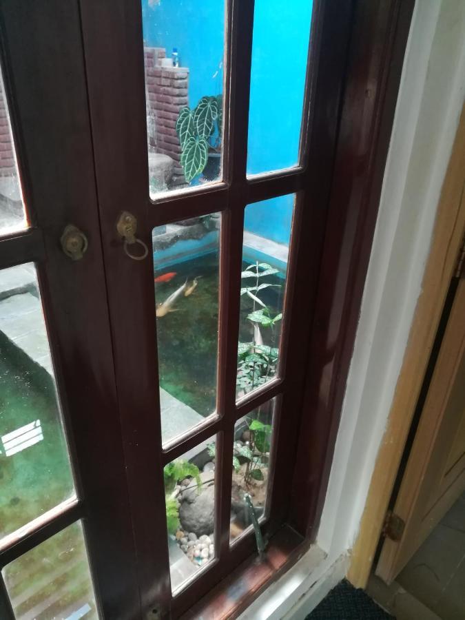 Aurora Echo Villa Matara Dış mekan fotoğraf